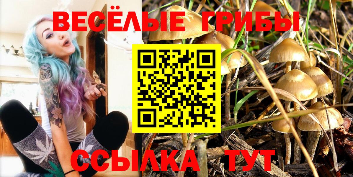 Рассказово  Галлюциногенные грибы прущие грибы  Вход с VPN 