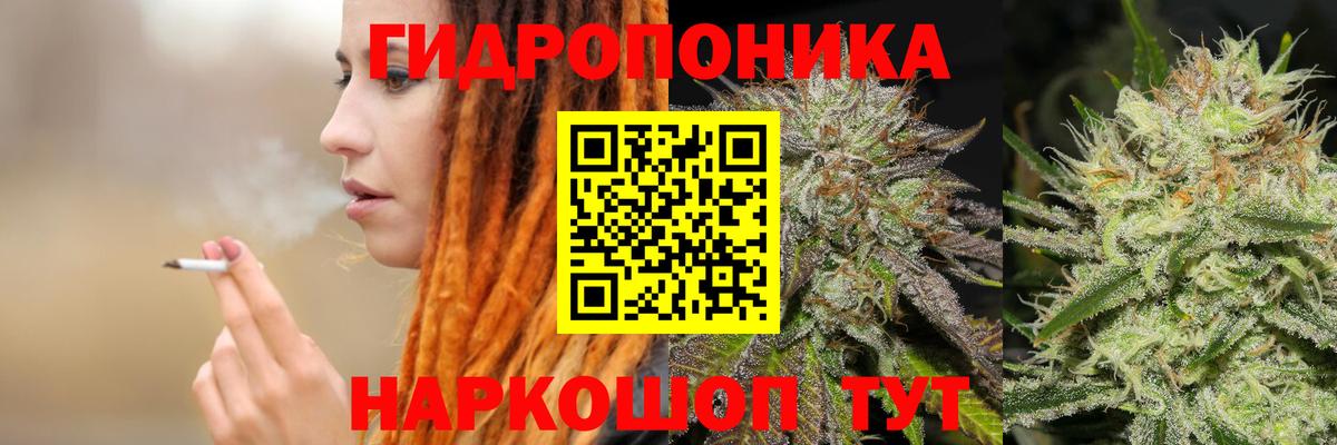 Рассказово  Канабис VHQ  Вход с VPN  Бошки марихуана SATIVA & INDICA 